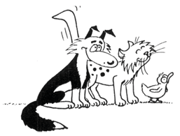 Mobile Kleintierpraxsi Meier Brugg