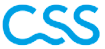 CSS Schutzzone Agentur Wetzikon